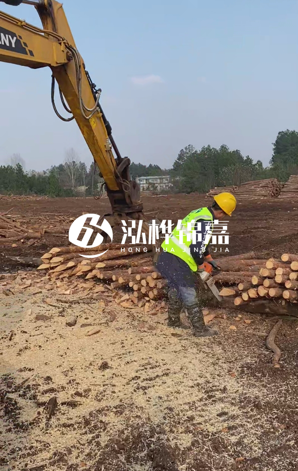 銅陵挖機打木樁專業(yè)施工-打松木樁一般算米還是算根？