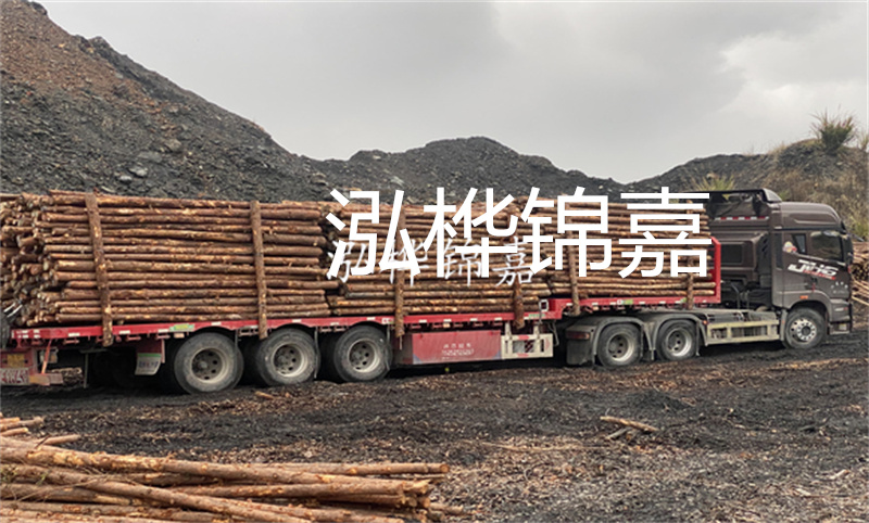 河道杉木樁保護(hù)生態(tài)環(huán)境，促進(jìn)河道治理