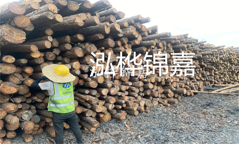 選擇松木樁15 20，打造穩(wěn)固的基礎(chǔ)！