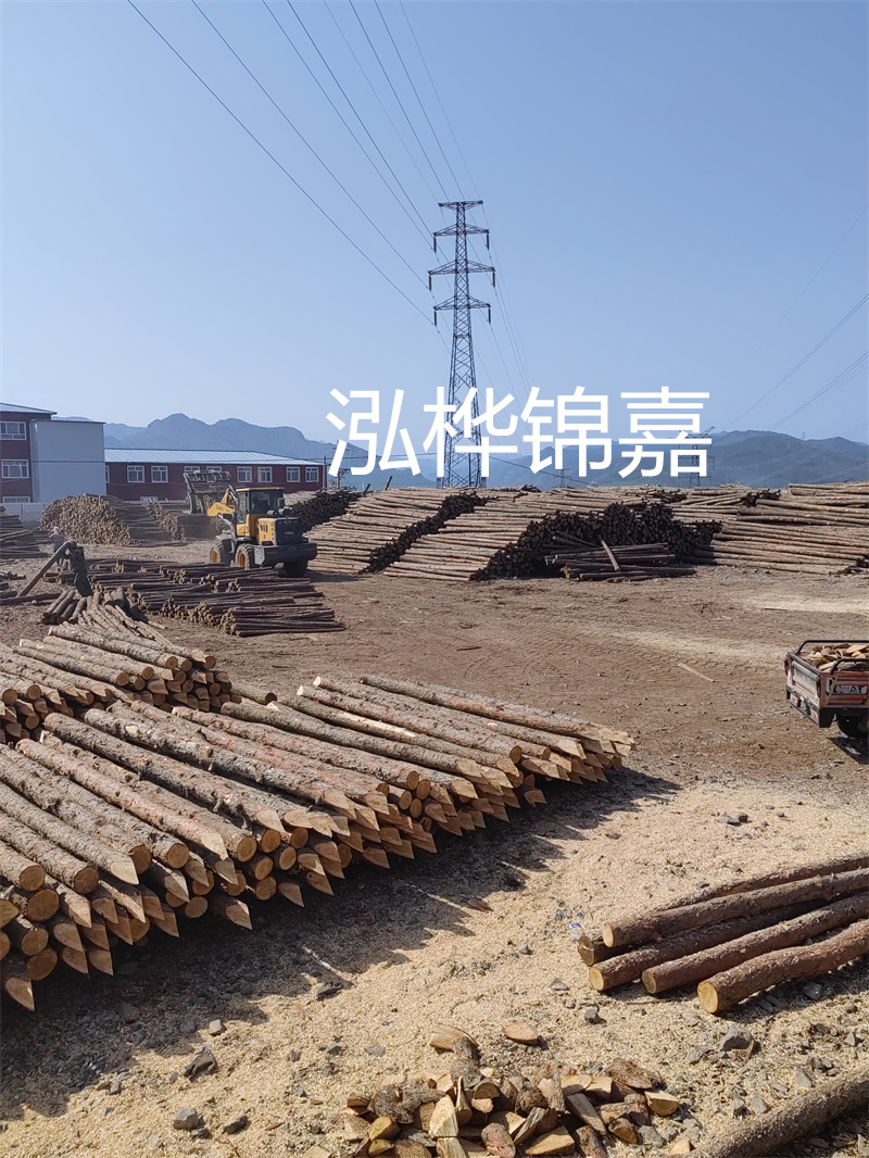 廣州杉木原木收購(gòu)廠(chǎng)—專(zhuān)業(yè)、可靠的原木收購(gòu)商